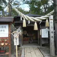 昇仙峡ロープウェイ山頂の写真・動画_image_160310