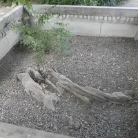 大阪城公園の写真・動画_image_16032