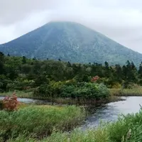 睡蓮沼の写真・動画_image_16035