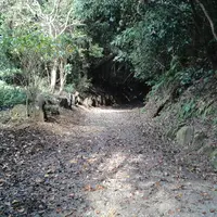 はぜのき館の写真・動画_image_160737