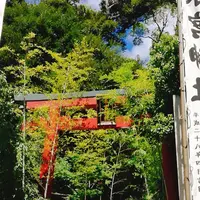 來宮神社の写真・動画_image_160783