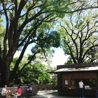 來宮神社の写真・動画_image_160784
