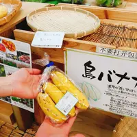 島の駅みやこの写真・動画_image_161046