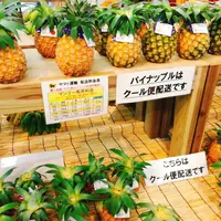 島の駅みやこの写真・動画_image_161047