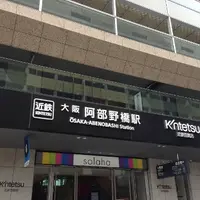 藤井寺市の写真・動画_image_16129