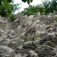 六甲山の写真・動画_image_1619