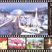 鳥取県立フラワーパークとっとり花回廊の写真・動画_image_16190