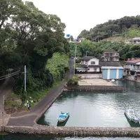 水俣市坪谷の写真・動画_image_161976