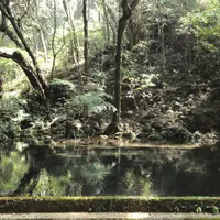 冷水の池の写真・動画_image_162034
