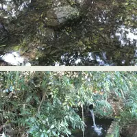 冷水の池の写真・動画_image_162038
