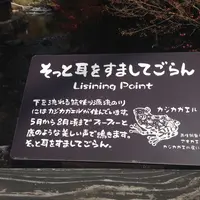 田の原川の写真・動画_image_16206
