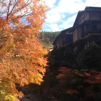 田の原川の写真・動画_image_16208