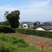 水俣病センター相思社の写真・動画_image_162144