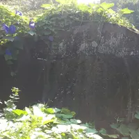 陣原団地の写真・動画_image_162187