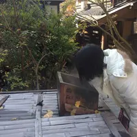 黒川地蔵の写真・動画_image_16221