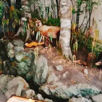 みやがせミーヤ館の写真・動画_image_162257