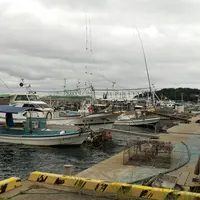 月の浦新港の写真・動画_image_162594