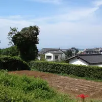 水俣病センター相思社の写真・動画_image_162603