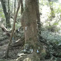 冷水の池の写真・動画_image_162607
