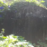 薩摩街道の写真・動画_image_162609