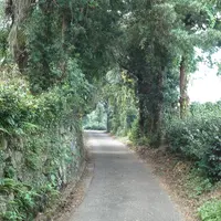 薩摩街道の写真・動画_image_162610