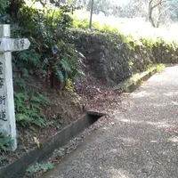 薩摩街道の写真・動画_image_162613
