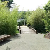 竹林園の写真・動画_image_162628