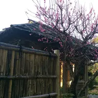 竹林園の写真・動画_image_162629