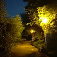 竹林園の写真・動画_image_162630