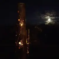 竹林園の写真・動画_image_162631