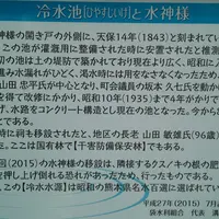 冷水の池の写真・動画_image_162638