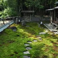 興正寺（尾張高野）の写真・動画_image_16275