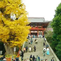 鶴岡八幡宮の写真・動画_image_1629