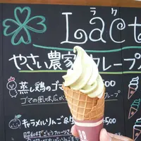 道の駅 あぐりーむ昭和の写真・動画_image_163105