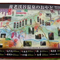 養老渓谷の写真・動画_image_16345