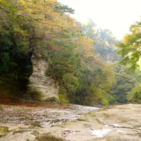 養老渓谷の写真・動画_image_16373