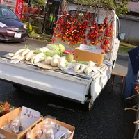養老渓谷駅の写真・動画_image_16391