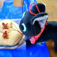 第十一チェックポイントの写真・動画_image_164470
