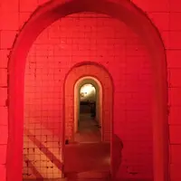 サドヤ醸造場の写真・動画_image_16838