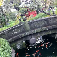 浅草寺の写真・動画_image_168668