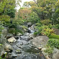 浅草寺の写真・動画_image_168669