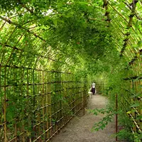 向島百花園の写真・動画_image_1690
