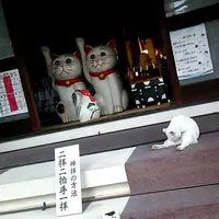 今戸神社の写真・動画_image_169030