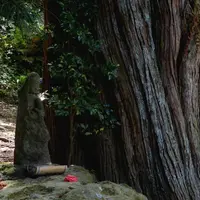 浄智寺の写真・動画_image_1695