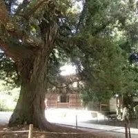 浄智寺の写真・動画_image_1696