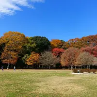 砧公園の写真・動画_image_169864