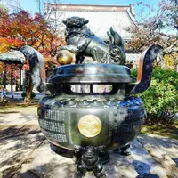 豪徳寺の写真・動画_image_169867