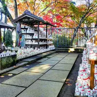 豪徳寺の写真・動画_image_169868