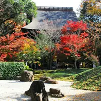 浄真寺の写真・動画_image_169876