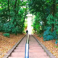 岡本公園民家園の写真・動画_image_169879